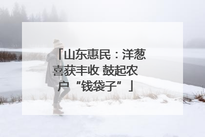 山东惠民：洋葱喜获丰收 鼓起农户“钱袋子”