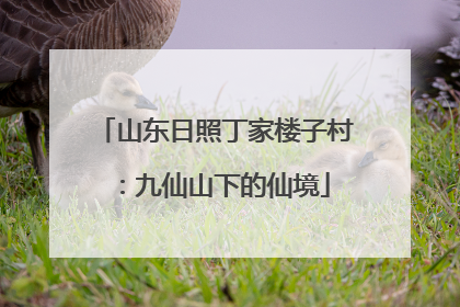 山东日照丁家楼子村：九仙山下的仙境