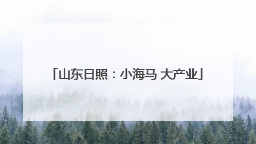 山东日照：小海马 大产业
