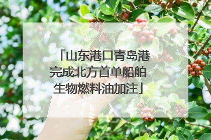 山东港口青岛港完成北方首单船舶生物燃料油加注