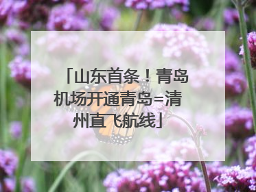 山东首条！青岛机场开通青岛=清州直飞航线