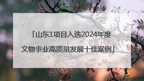 山东1项目入选2024年度文物事业高质量发展十佳案例