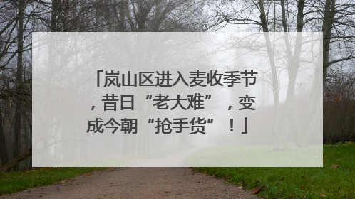 岚山区进入麦收季节，昔日“老大难”，变成今朝“抢手货”！