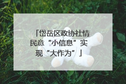 岱岳区政协社情民意“小信息”实现“大作为”