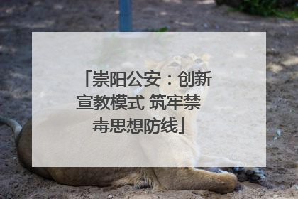 崇阳公安：创新宣教模式 筑牢禁毒思想防线
