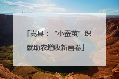 嵩县：“小蚕茧”织就助农增收新画卷