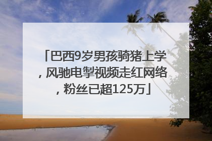 巴西9岁男孩骑猪上学，风驰电掣视频走红网络，粉丝已超125万
