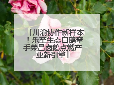 川渝协作新样本！乐至生态白鹅牵手荣昌卤鹅点燃产业新引擎