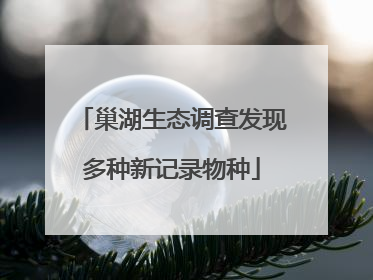 巢湖生态调查发现多种新记录物种
