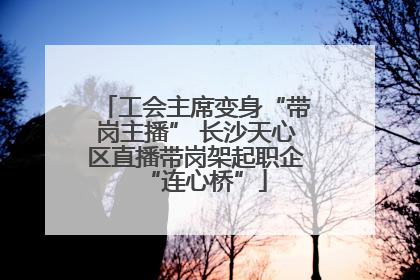 工会主席变身“带岗主播” 长沙天心区直播带岗架起职企“连心桥”