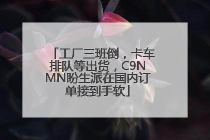 工厂三班倒，卡车排队等出货，C9NMN盼生派在国内订单接到手软