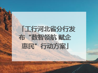 工行河北省分行发布“数智领航 赋企惠民”行动方案