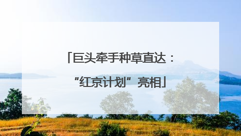 巨头牵手种草直达：“红京计划”亮相