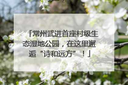 常州武进首座村级生态湿地公园，在这里邂逅“诗和远方”！