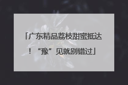 广东精品荔枝甜蜜抵达！“豫”见就别错过