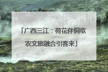广西三江：荷花伴侗歌 农文旅融合引客来