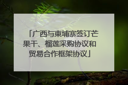广西与柬埔寨签订芒果干、榴莲采购协议和贸易合作框架协议