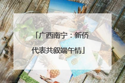 广西南宁：新侨代表共叙端午情