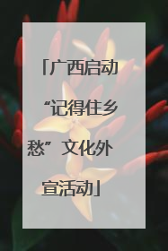 广西启动“记得住乡愁”文化外宣活动
