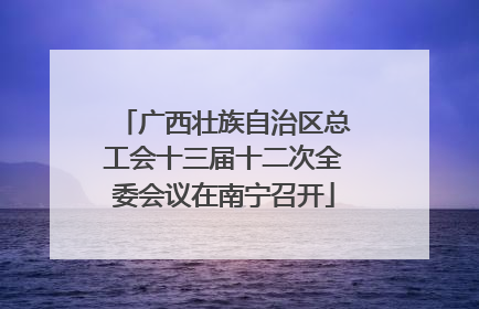 广西壮族自治区总工会十三届十二次全委会议在南宁召开