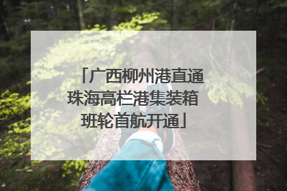 广西柳州港直通珠海高栏港集装箱班轮首航开通