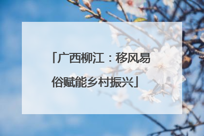 广西柳江：移风易俗赋能乡村振兴