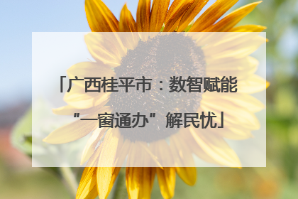 广西桂平市：数智赋能“一窗通办”解民忧