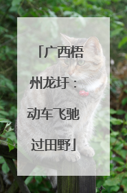 广西梧州龙圩：动车飞驰过田野