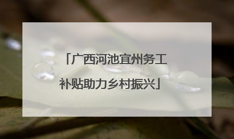 广西河池宜州务工补贴助力乡村振兴