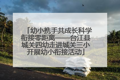 幼小携手共成长科学衔接零距离——台江县城关四幼走进城关三小开展幼小衔接活动