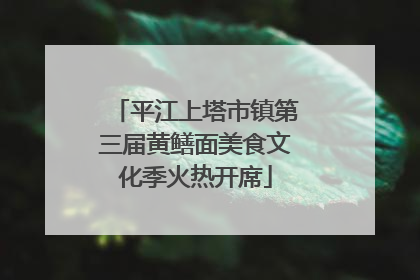 平江上塔市镇第三届黄鳝面美食文化季火热开席