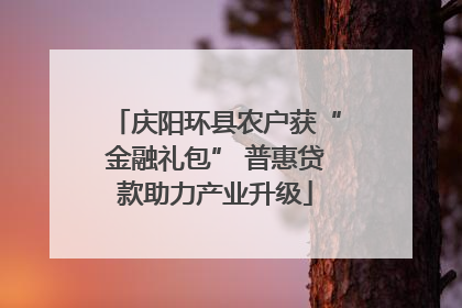 庆阳环县农户获“金融礼包” 普惠贷款助力产业升级