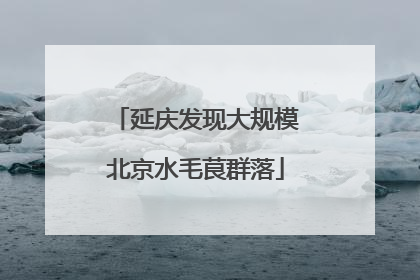 延庆发现大规模北京水毛茛群落