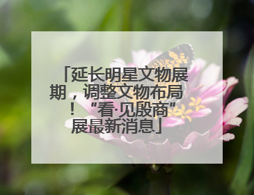 延长明星文物展期，调整文物布局！“看·见殷商”展最新消息