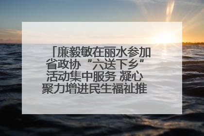 廉毅敏在丽水参加省政协“六送下乡”活动集中服务 凝心聚力增进民生福祉推进共同富裕
