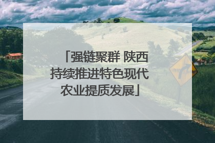 强链聚群 陕西持续推进特色现代农业提质发展
