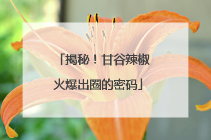 揭秘！甘谷辣椒火爆出圈的密码