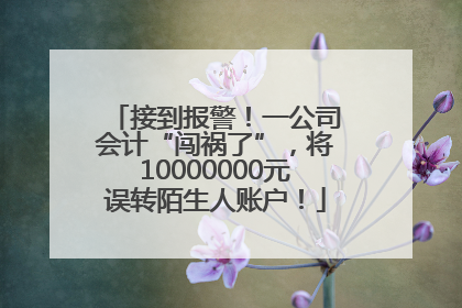 接到报警！一公司会计“闯祸了”，将10000000元误转陌生人账户！