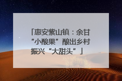 惠安紫山镇：余甘“小酸果”酿出乡村振兴“大甜头”