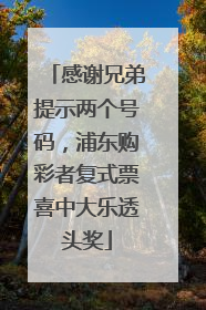 感谢兄弟提示两个号码，浦东购彩者复式票喜中大乐透头奖