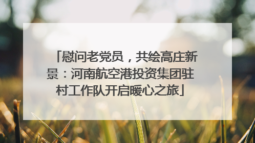 慰问老党员，共绘高庄新景：河南航空港投资集团驻村工作队开启暖心之旅