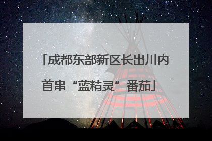 成都东部新区长出川内首串“蓝精灵”番茄