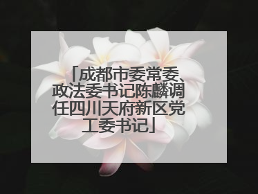 成都市委常委、政法委书记陈麟调任四川天府新区党工委书记