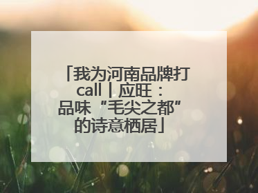 我为河南品牌打call丨应旺：品味“毛尖之都”的诗意栖居