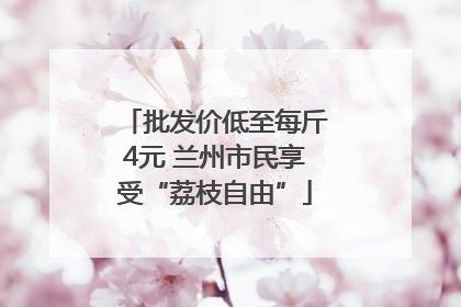 批发价低至每斤4元 兰州市民享受“荔枝自由”