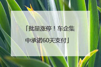 批量涨停！车企集中承诺60天支付