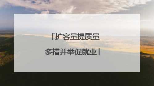 扩容量提质量 多措并举促就业
