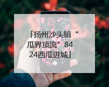 扬州沙头镇“瓜界顶流”8424西瓜进城