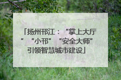 扬州邗江：“掌上大厅”“小邗”“安全大师”引领智慧城市建设