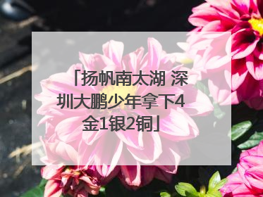 扬帆南太湖 深圳大鹏少年拿下4金1银2铜